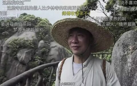 想让年轻人买茶？你得先透过茶叶纪录片上的“弹幕”了解他们！