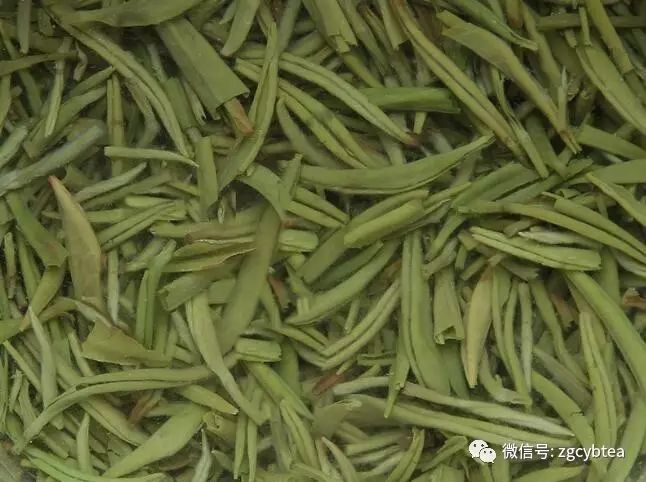 超实用主流茗茶样本图:怕买到黑心假茶?请先对照这15款茶叶外形