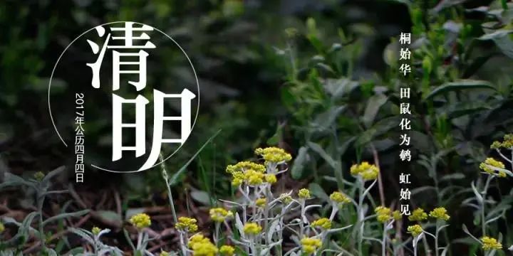 今日大雪，为什么喝茶要配合节气？除了养生更怕你买到假茶!