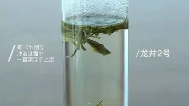 验证绿茶界“倒立现象”，我们做了这个实验
