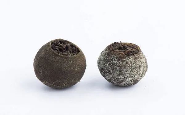 变质茶叶到底能不能喝?普洱茶专家周红杰为你详解