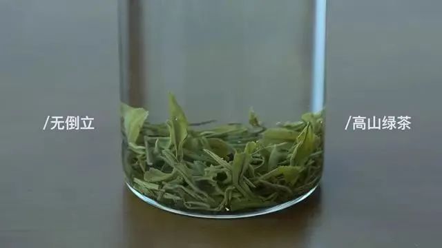验证绿茶界“倒立现象”，我们做了这个实验
