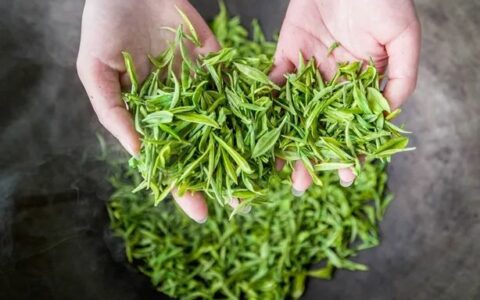 选择困难症患者的疑惑：茶叶杀青为什么有这么多种方式？