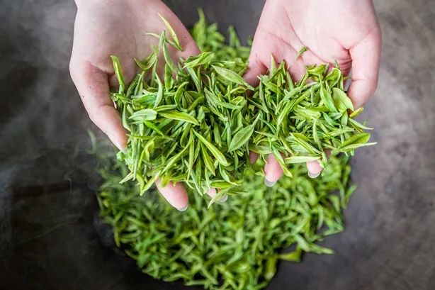 选择困难症患者的疑惑：茶叶杀青为什么有这么多种方式？