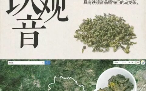 你可能只是喝过铁观音而已，八张图带你了解铁观音