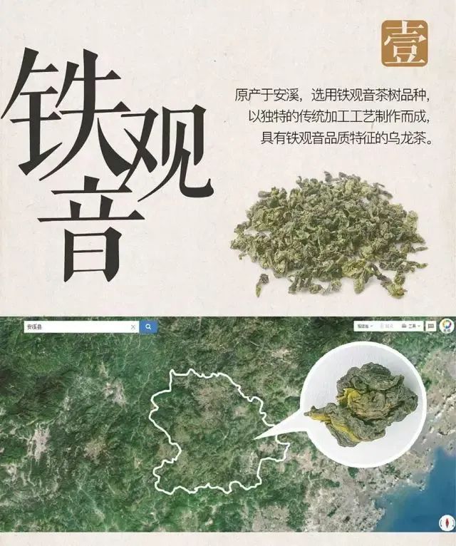 你可能只是喝过铁观音而已，八张图带你了解铁观音
