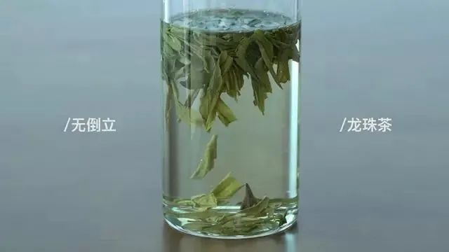 验证绿茶界“倒立现象”，我们做了这个实验