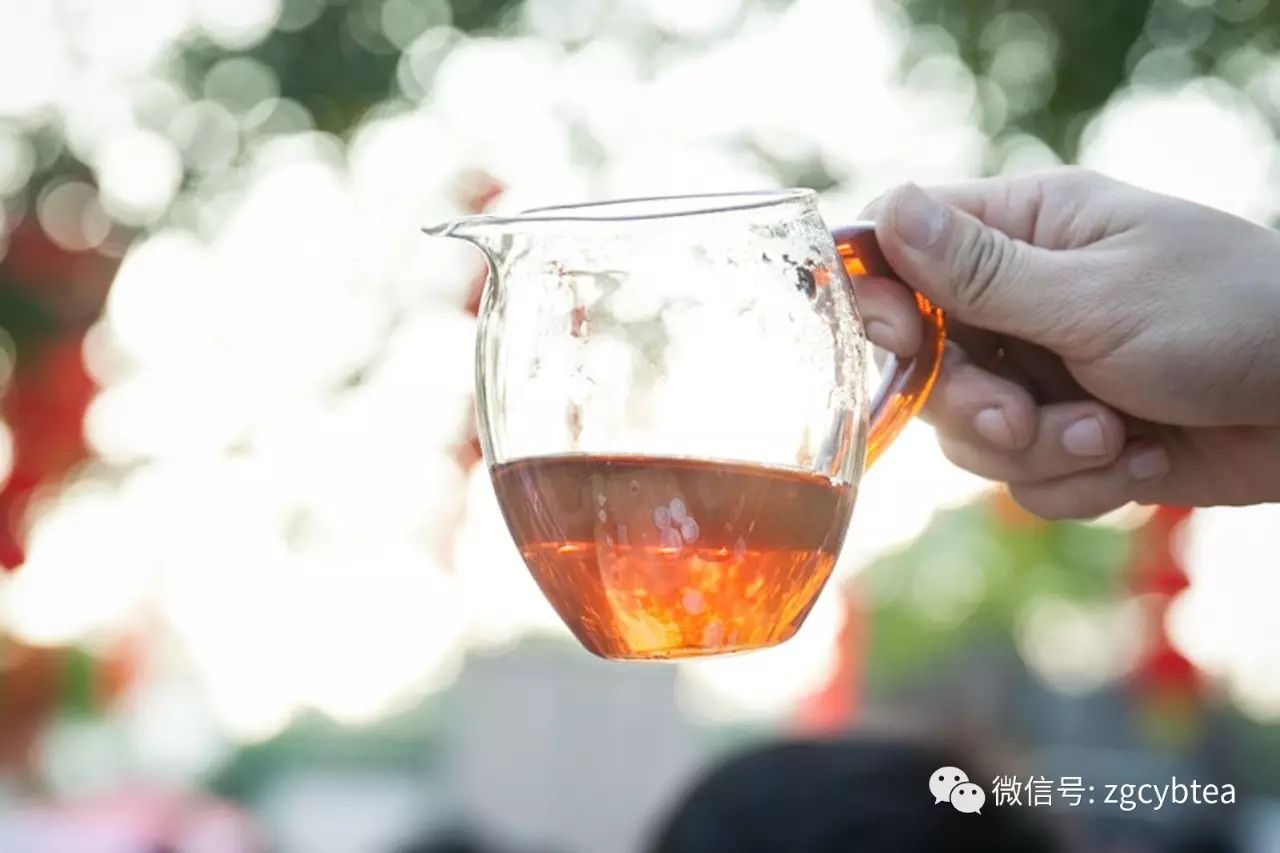 你为什么如此坚信那些说喝茶会钙流失、会长胆结石的茶界谣言？