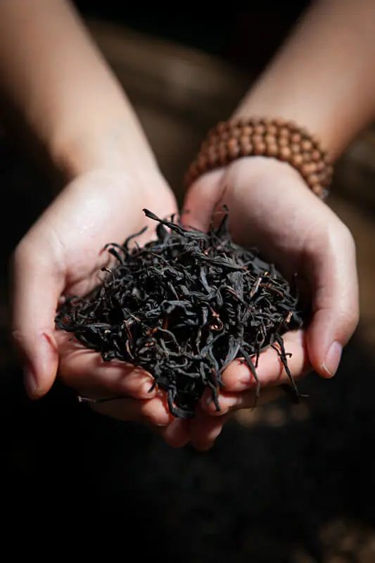 红茶如何预防心血管疾病？大约20年前，浙大茶学博导屠幼英就开始推本溯源