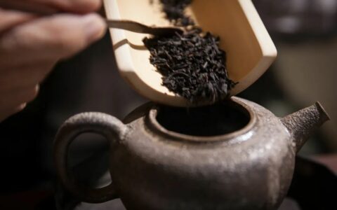 明知是坑，为什么我还是要入茶坑