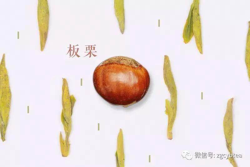 词穷?除了"鲜爽",该怎么形容绿茶的惊艳？9张绝美好图剖解绿茶