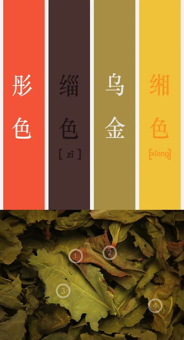 茶人的秋冬亦能拥有五彩斑斓的世界，茶叶将一年四季的颜色都锁在了它的骨子里