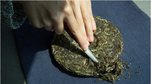 这篇万字超长文教你读懂关于白茶的几乎所有细节！可收藏作工具书使用