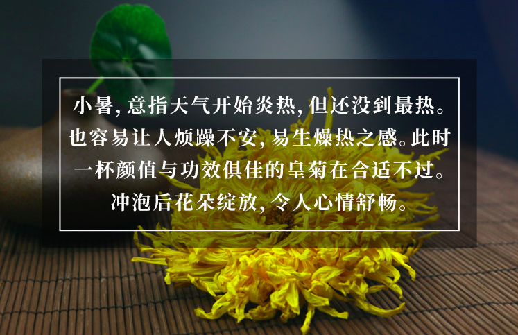 今日大寒丨人间至此冬色尽，春暖花开不久时，2022“虎年”超值福利时令茶单，为你新年健康添活力！