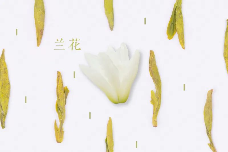 绿茶品饮正当时，该如何形容它丰富多层的香气？我们一层一层剥给你看