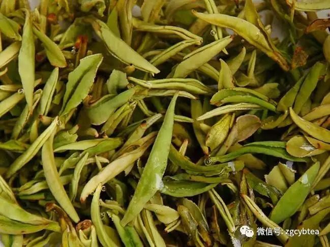 超实用主流茗茶样本图:怕买到黑心假茶?请先对照这15款茶叶外形