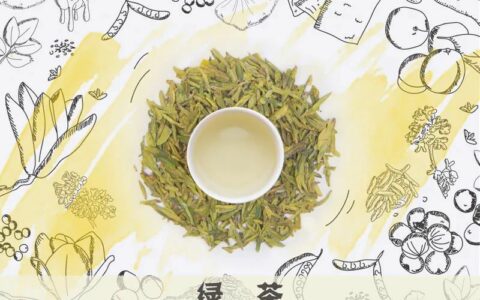 绿茶品饮正当时，该如何形容它丰富多层的香气？我们一层一层剥给你看