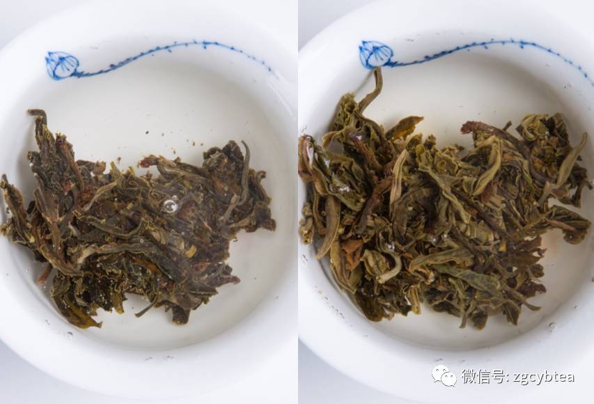 同款茶,茶馆老板泡出千元级滋味,你只泡出百元级,秘诀在哪儿?