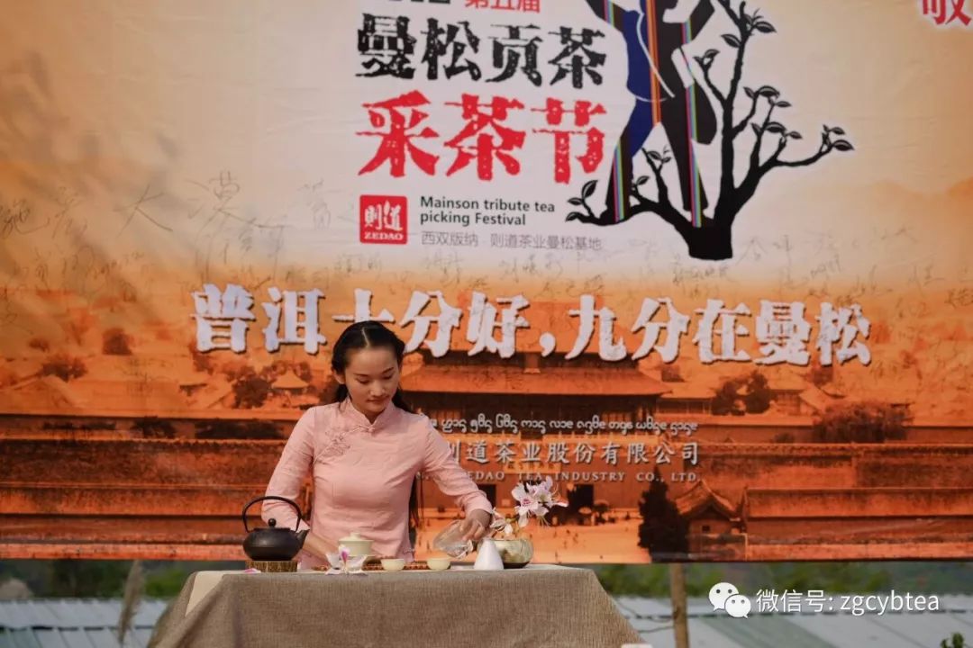 茶界香格里拉-传说中的曼松到底长什么样?图文揭秘长在森林中的古茶园