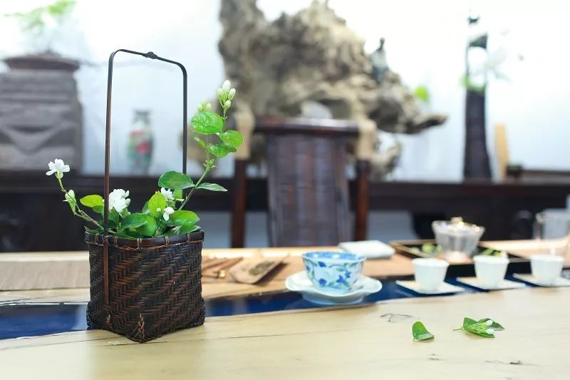 泡不同茶类的茶席该如何插花，钻研花道15年的插花大咖为你一一详解！