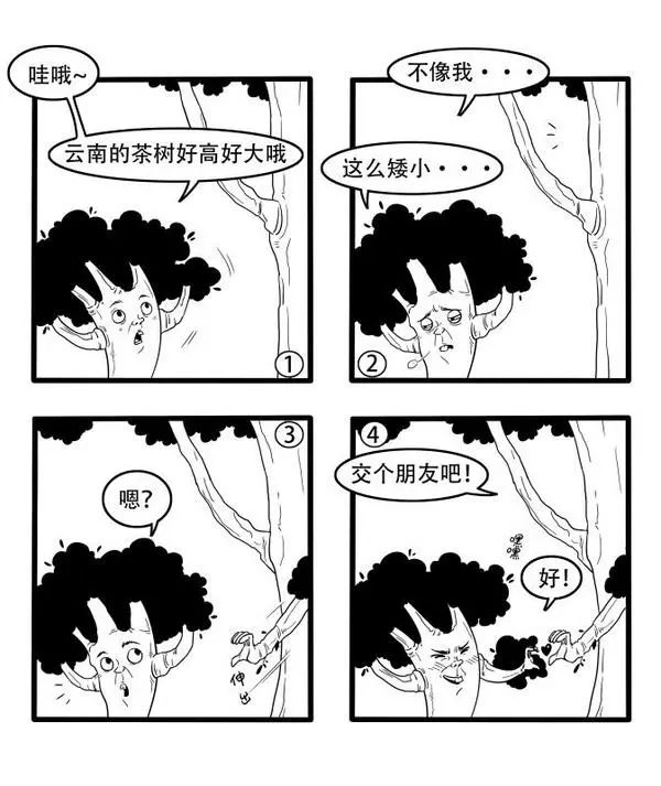 我被鄙视过，也鄙视过别人，这是一个个茶人百态的故事