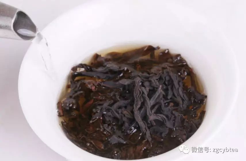新茶做旧/绿改乌龙/存放失当,日渐火热的老单丛有哪些坑你不能跳?