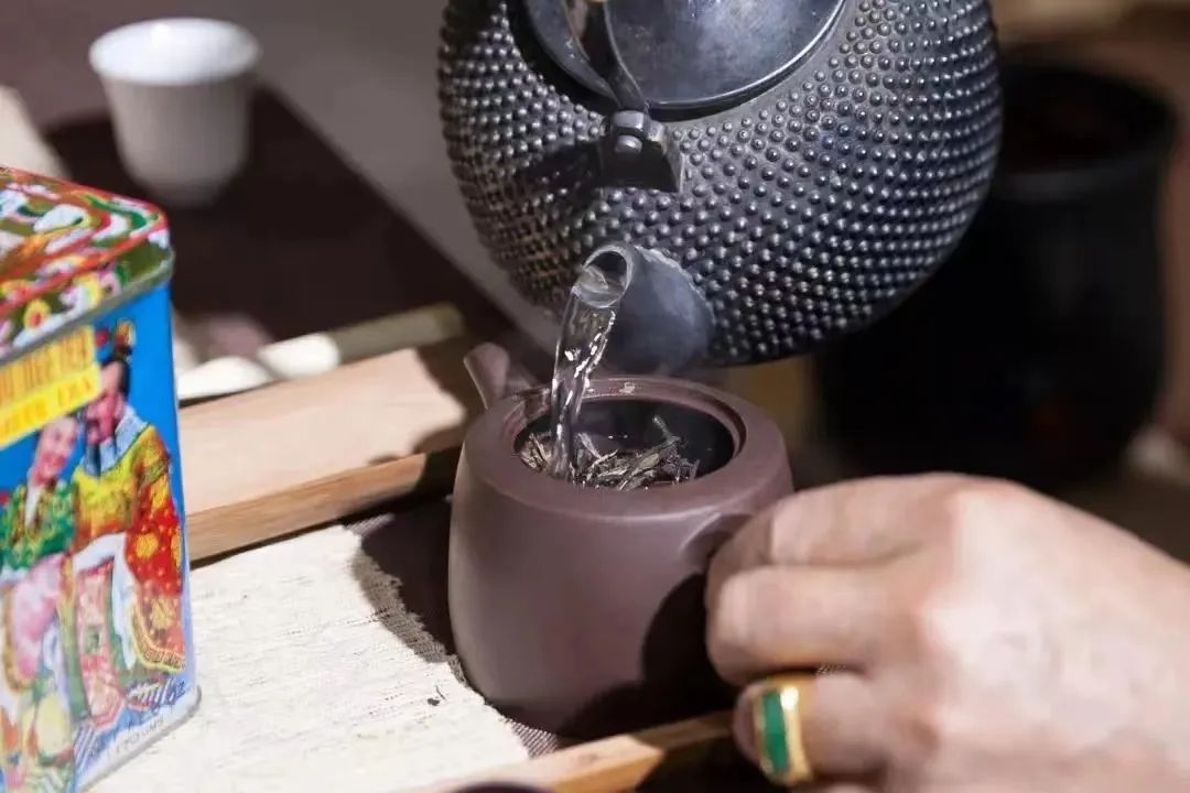 明知是坑，为什么我还是要入茶坑