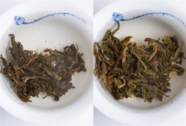 为什么别人泡出来很好喝的茶，我泡出来像假茶？普洱茶冲泡指南