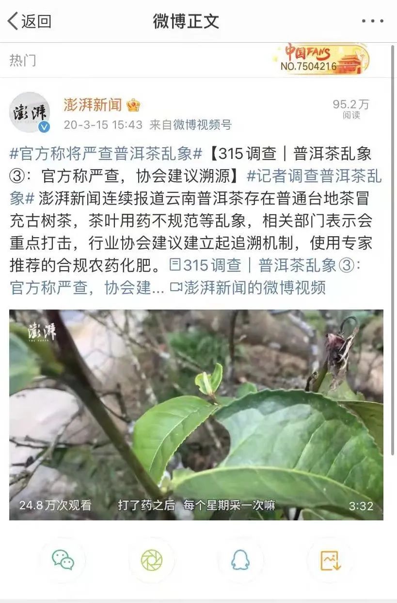 刮风寨茶农把我的茶王树掉包了，交易之地再无净土？
