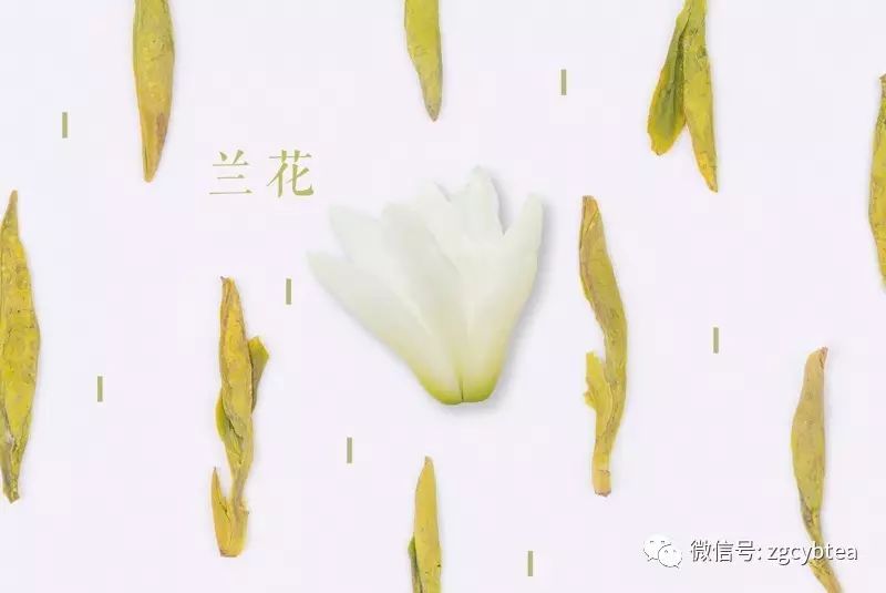 词穷?除了"鲜爽",该怎么形容绿茶的惊艳？9张绝美好图剖解绿茶