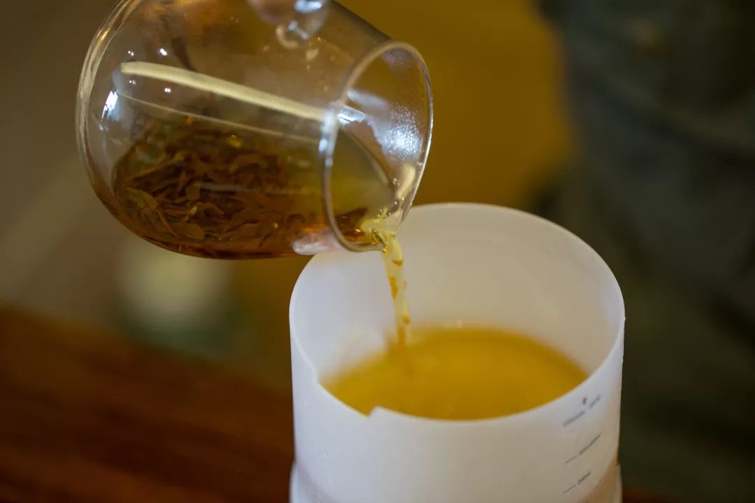 我们用6种茶叶做香薰，结果一办公室的人都围着香薰机“醉生梦死”！