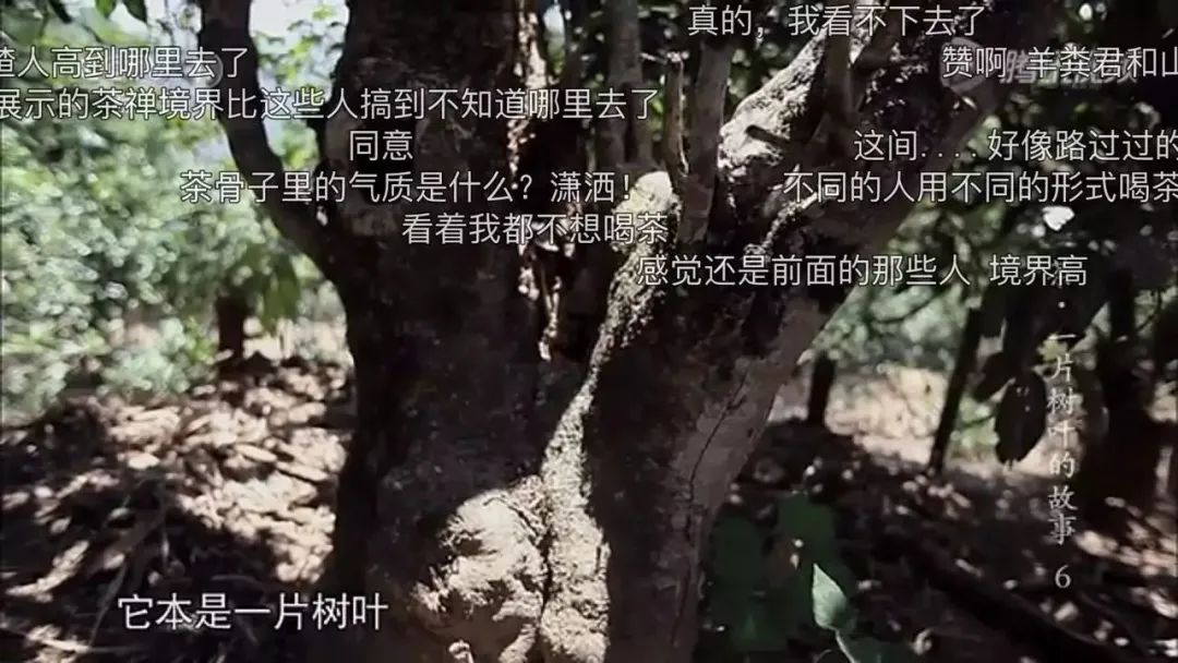 融入年轻人的“弹幕”法则