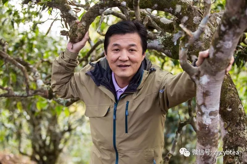 茶亲时代:几千公里外不相识的两个陌生人,用茶汤调浓了血缘关系