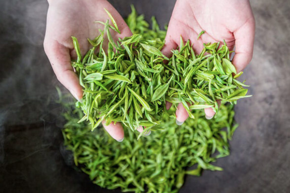 呵，职业病，谁没有几个？那些因为从事茶行业而带来的职业病