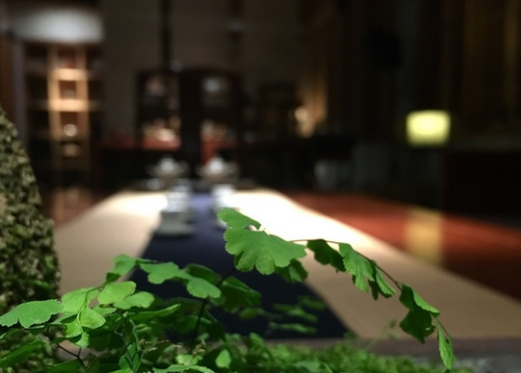提前学会新春茶桌礼仪，让佳节欢聚更加融洽美好