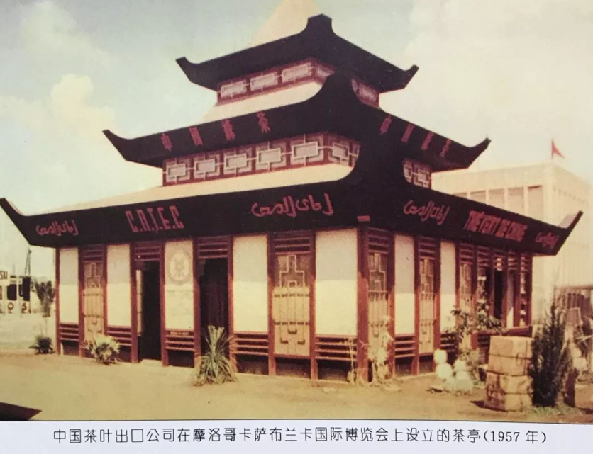 第二届白茶大会结束了，但白茶的未来我们看清了吗？