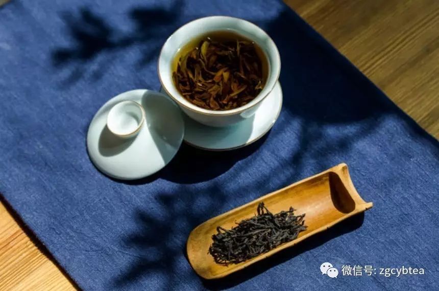 新茶做旧/绿改乌龙/存放失当,日渐火热的老单丛有哪些坑你不能跳?