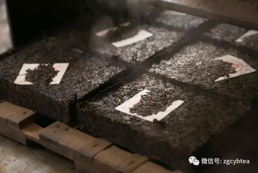 未来十年熟普将被改写？高等级毛茶制作的高端熟普会一统江湖？