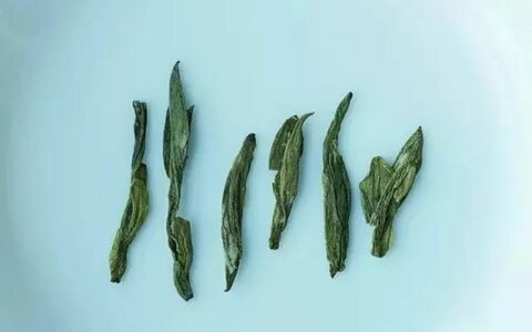 验证绿茶界“倒立现象”，我们做了这个实验