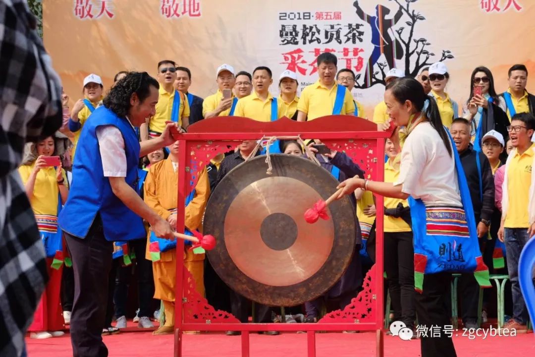 茶界香格里拉-传说中的曼松到底长什么样?图文揭秘长在森林中的古茶园
