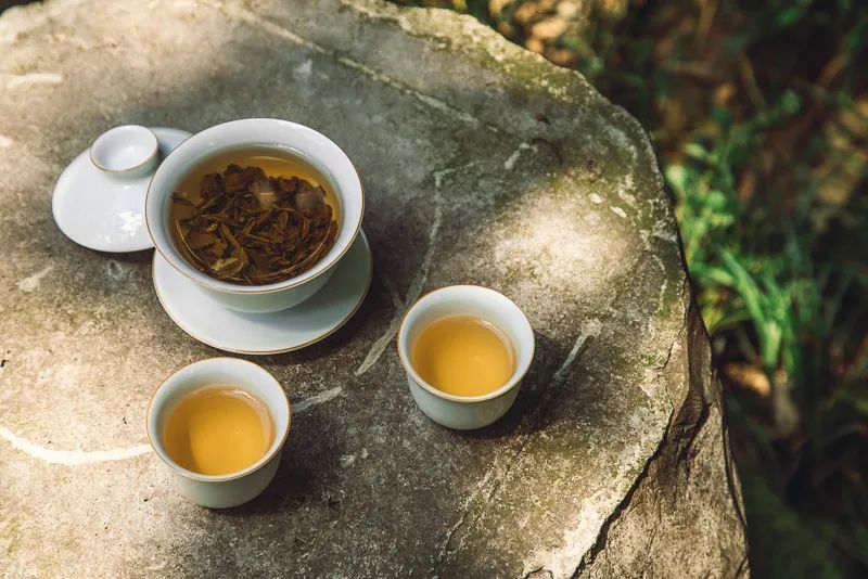 茶不是生命必需品；喝茶也不是一种信仰，但就是没有理由去拒绝它