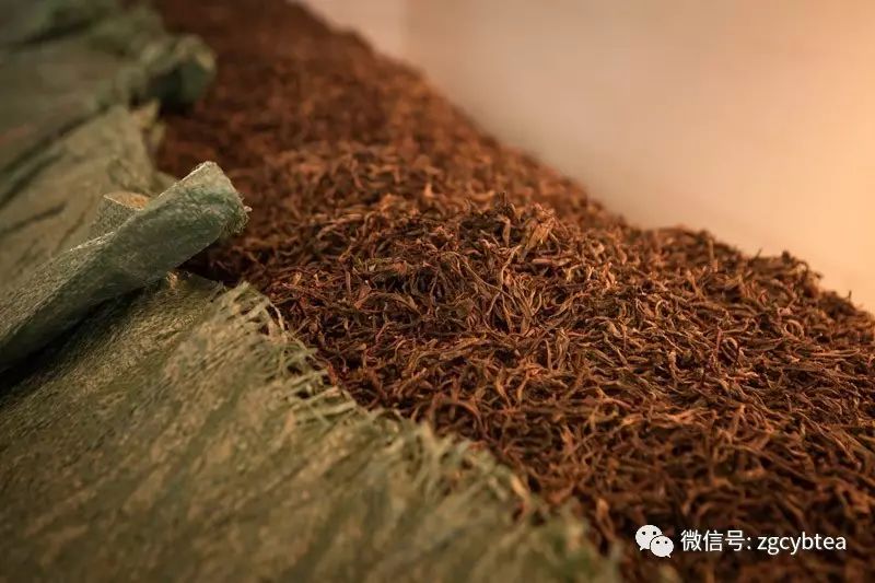 你为什么如此坚信那些说喝茶会钙流失、会长胆结石的茶界谣言？