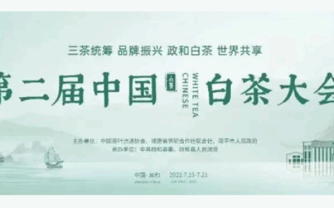 第二届白茶大会结束了，但白茶的未来我们看清了吗？