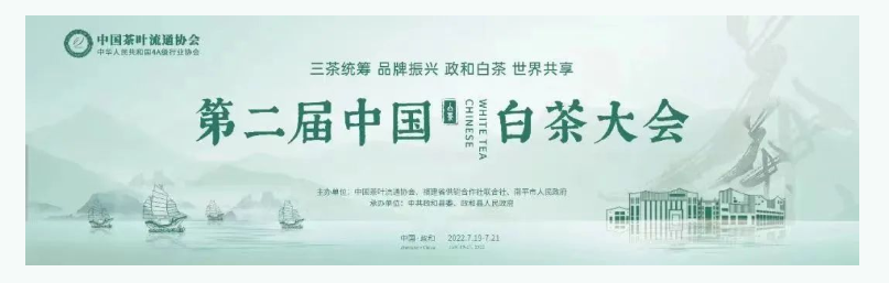 第二届白茶大会结束了，但白茶的未来我们看清了吗？