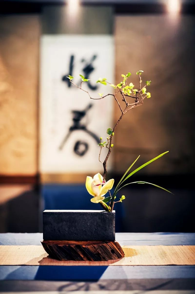 泡不同茶类的茶席该如何插花，钻研花道15年的插花大咖为你一一详解！