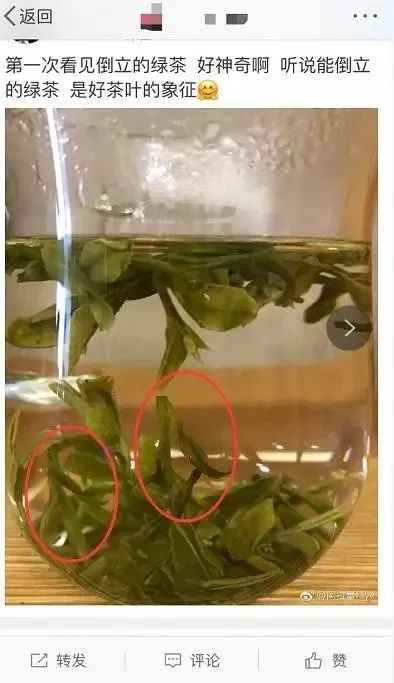 验证绿茶界“倒立现象”，我们做了这个实验