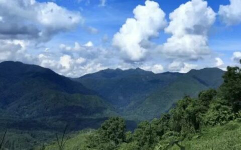 为什么说中国茶是“世界第一”，从一个字中就能看出！