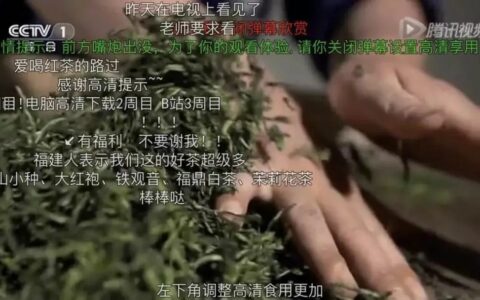 融入年轻人的“弹幕”法则