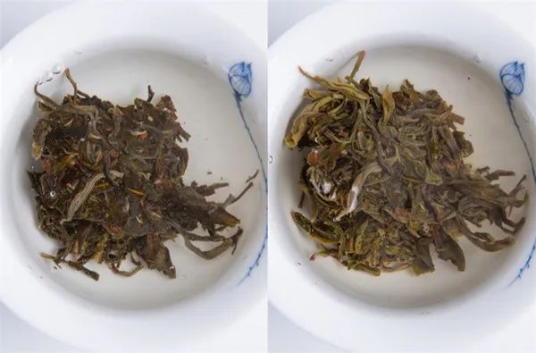 为什么别人泡出来很好喝的茶，我泡出来像假茶？普洱茶冲泡指南