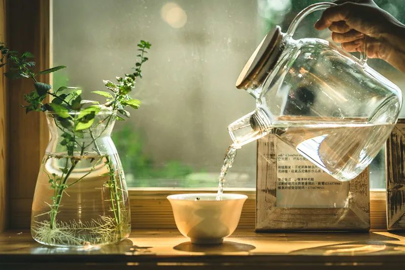 为了茶，这些人居然做了这么多丧心病狂的事情！